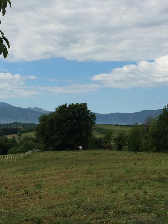 Tenuta Di Vico Moricino Anagni Habitación foto